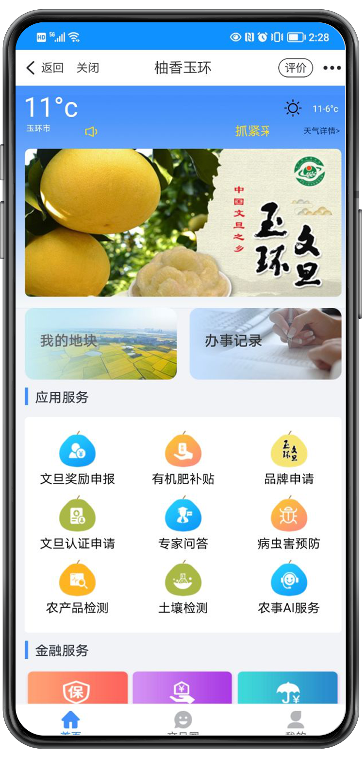 玉環3.png