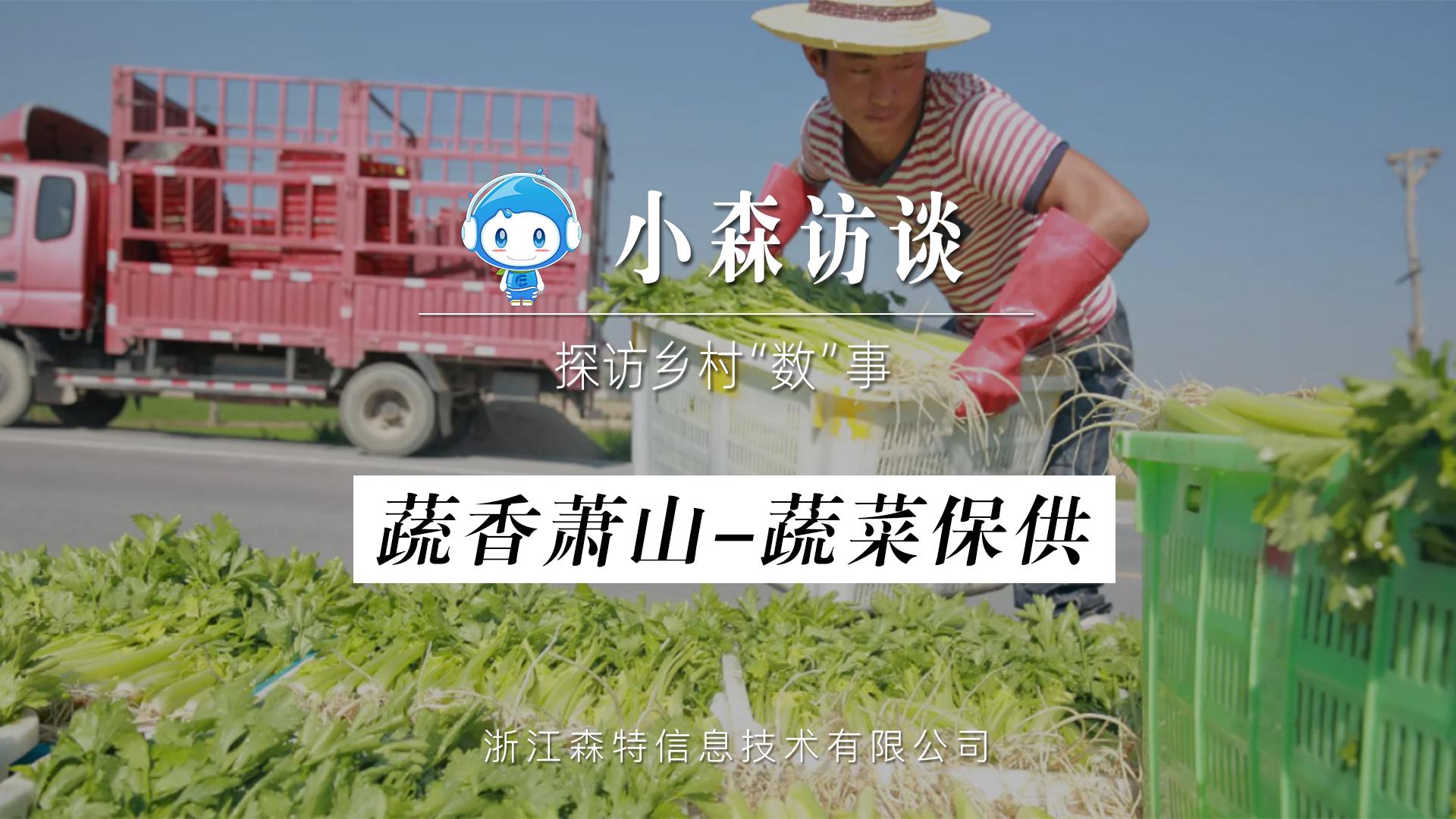 “蔬香蕭山”通過機制創新與數字化緊密結合，貫通“平、戰”關鍵環節，開啟“蔬菜保供”新局面——浙江森特傾情繪制！
