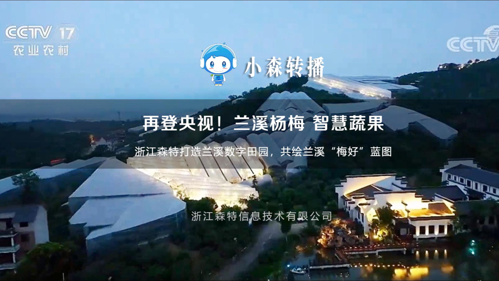 蘭溪楊梅再登央視！浙江森特打造蘭溪數(shù)字田園，共繪蘭溪“梅好”藍圖