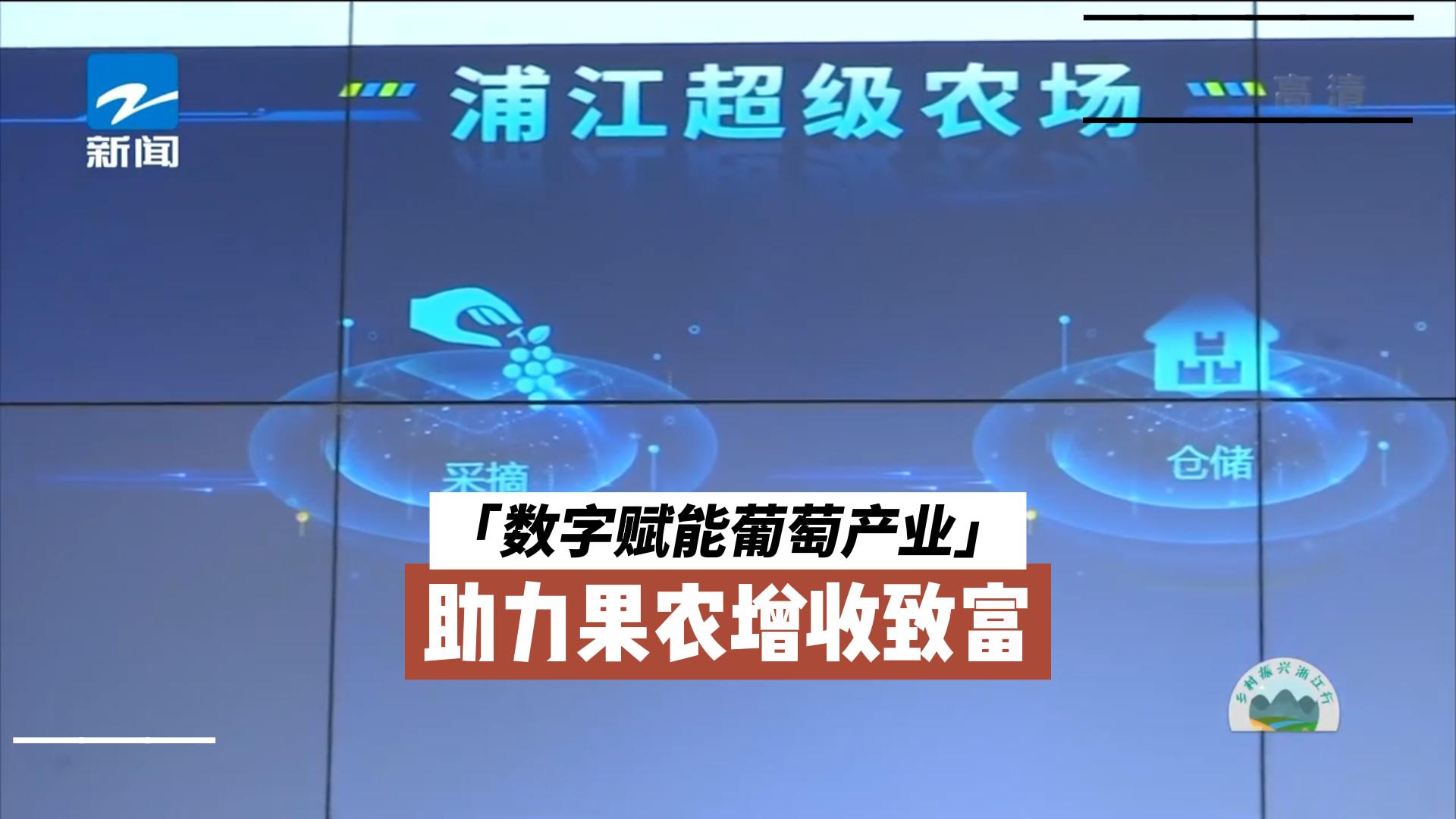 中國藍新聞報道浦江超級農場，數字化助力葡萄產業致富路——浙江森特經典案例