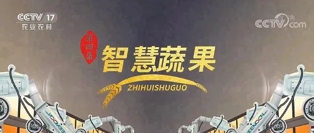 再登央視！蘭溪楊梅 智慧蔬果，浙江森特打造蘭溪數字田園，共繪蘭溪“梅好”藍圖！